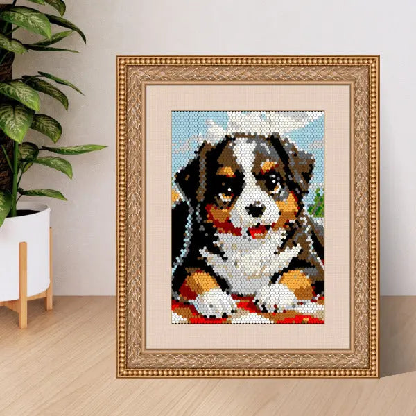 A framed color by number artwork depicting a Bernese Mountain Dog, created with a hexagonal mosaic pattern, resting on a red blanket. The artwork is displayed on a wooden surface next to a green plant.